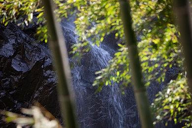 《马里奥vs大金刚》Switch重制版新情报公开 2月16日发售