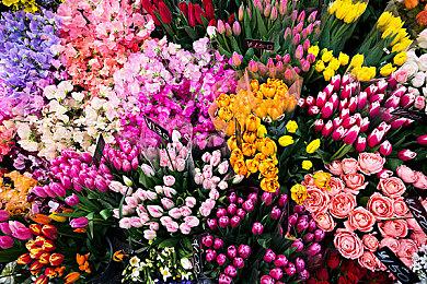 《Lost in Tropics》登陆Steam 热带岛屿生存冒险